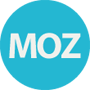 MOZ rank checker